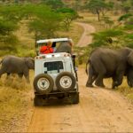 Are Uganda’s Game Drive Safaris Safe?