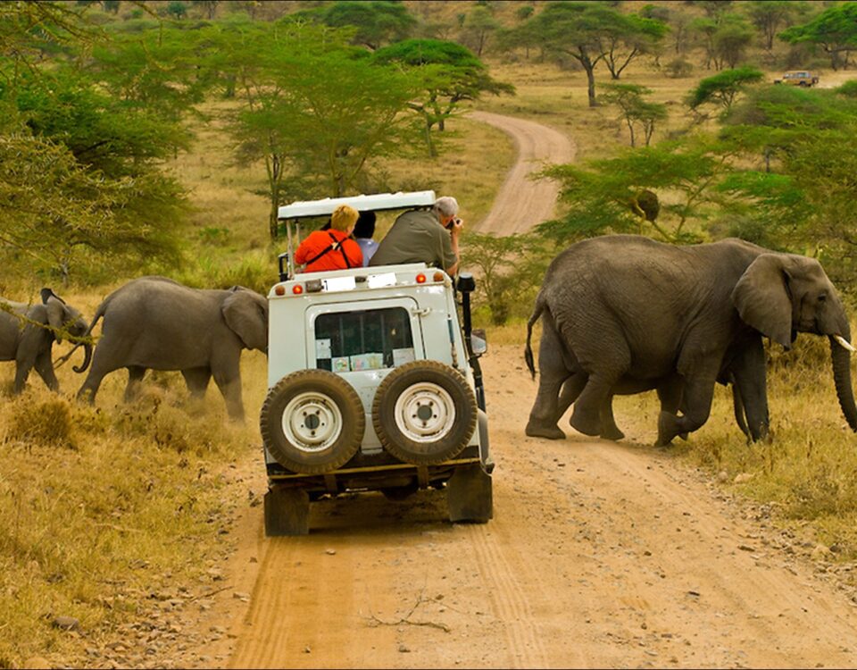 Are Uganda’s Game Drive Safaris Safe?