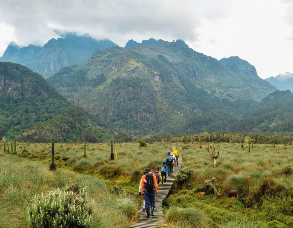 Day Hikes in the Foothills of Rwenzori