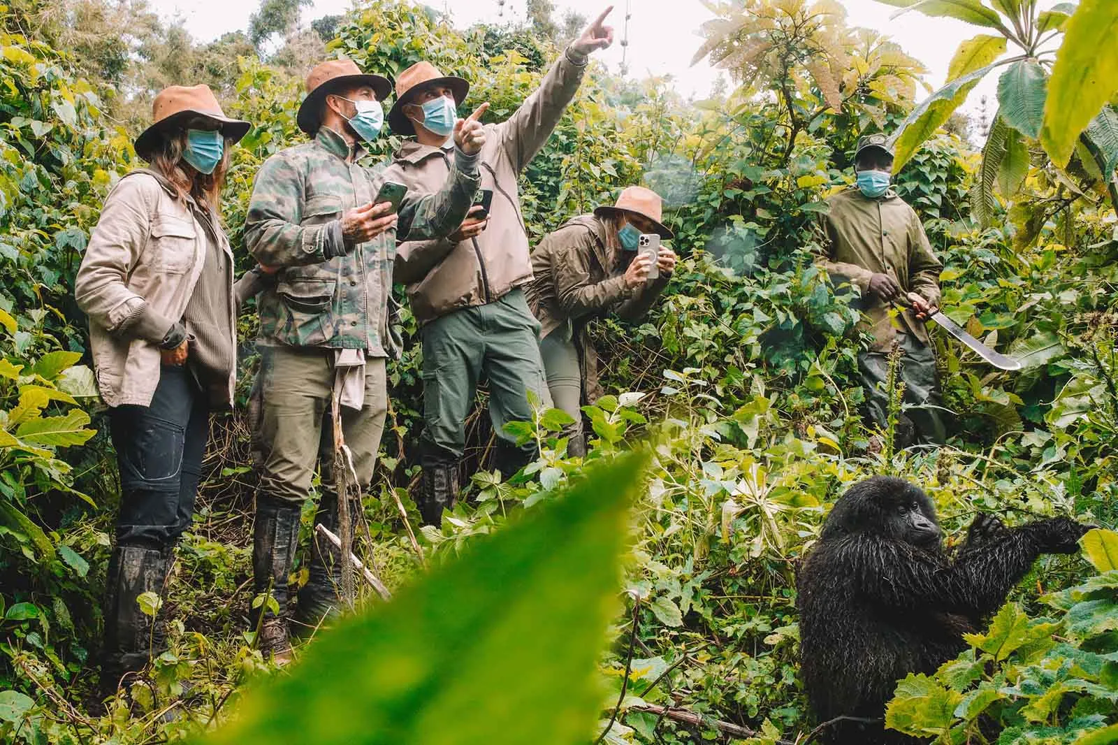 How Do I Get a Gorilla Trekking Permit, and How Much Does It Cost?