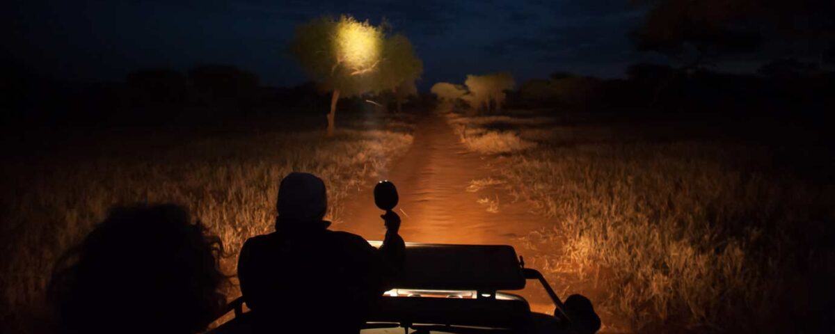 What Is a Night Game Drive, and Where Is It Offered?
