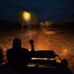 What Is a Night Game Drive, and Where Is It Offered?