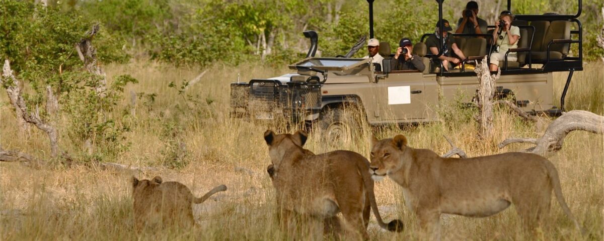 What Are the Best National Parks in Uganda for Game Drives