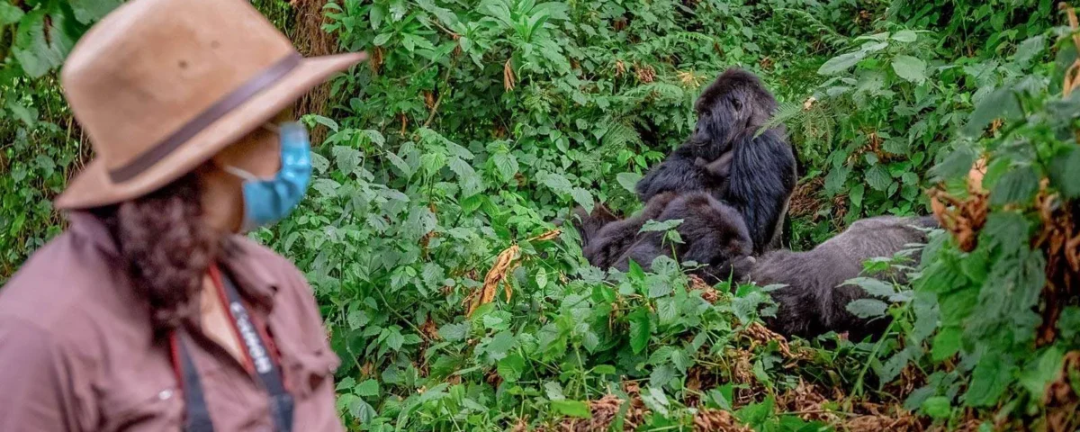 What Fitness Level Is Required for Gorilla Trekking?