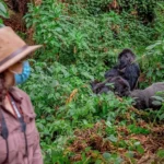 What Fitness Level Is Required for Gorilla Trekking?
