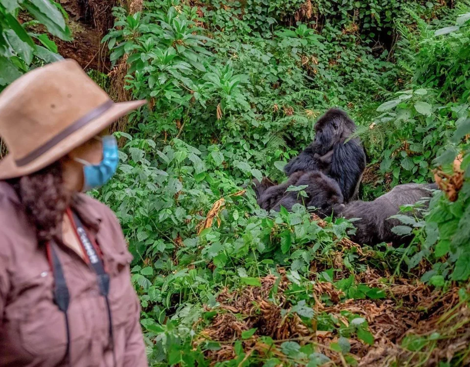 What Fitness Level Is Required for Gorilla Trekking?