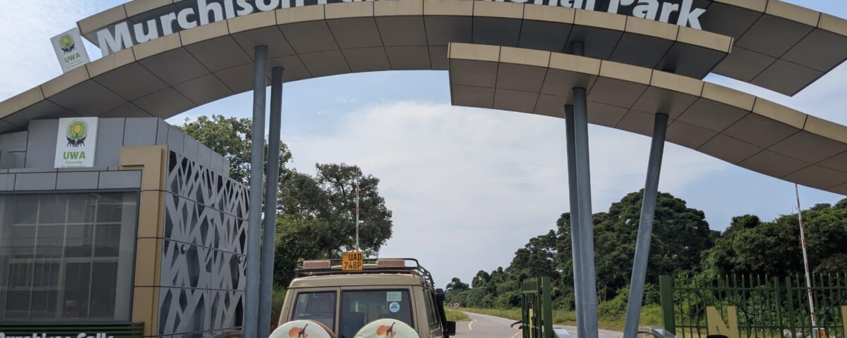 How do I book a game drive safari in Uganda?
