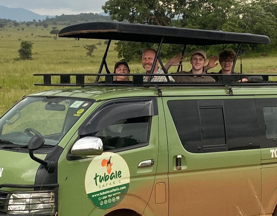 Can I Do Self-Drive Game Drives in Uganda Parks?