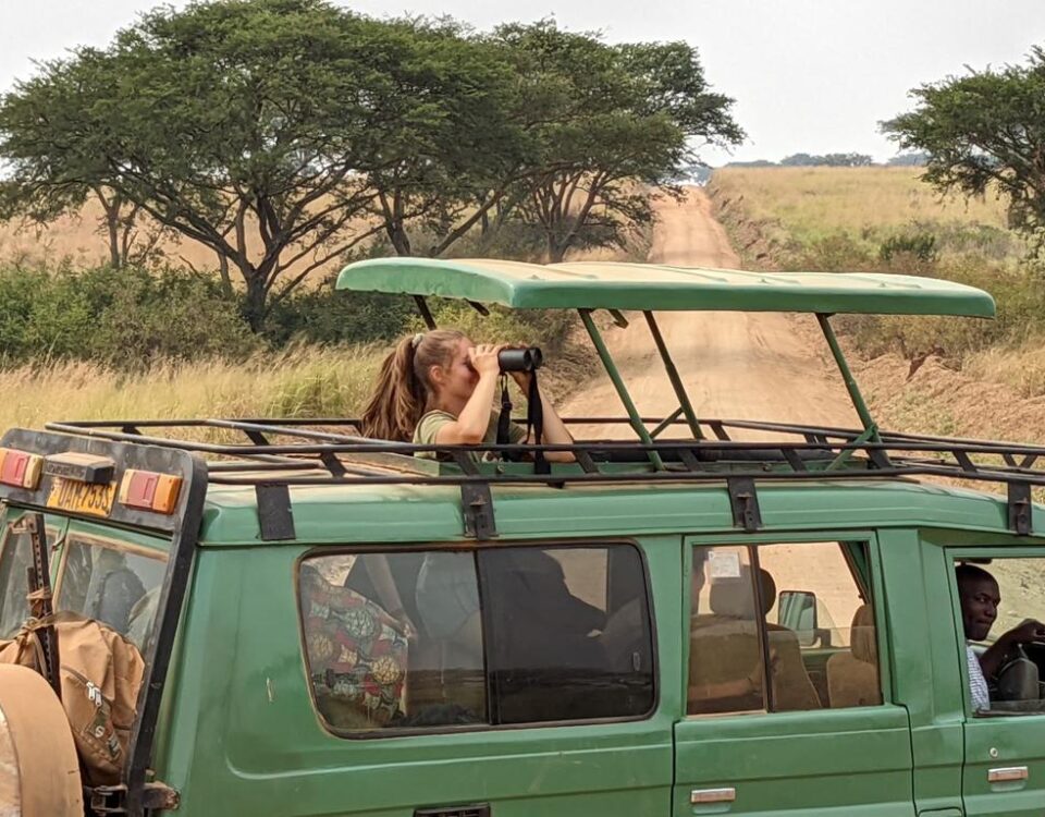 Is a Game Drive in Uganda Suitable for Solo Travelers or Groups?