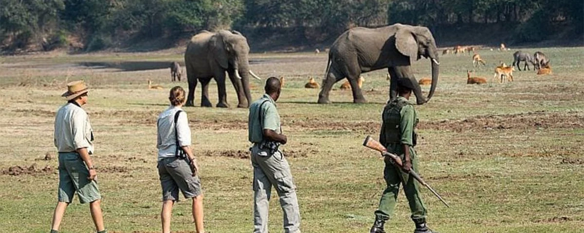 Can Game Drives Be Combined with Other Activities?