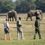 Can Game Drives Be Combined with Other Activities?
