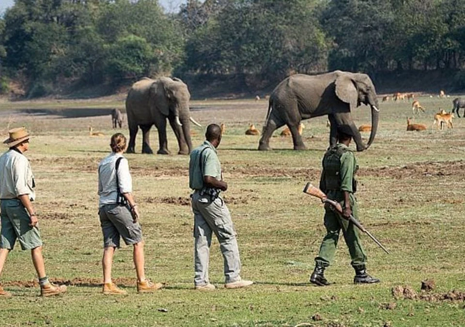 Can Game Drives Be Combined with Other Activities?